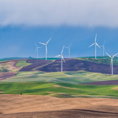 Wind turbines on green hills